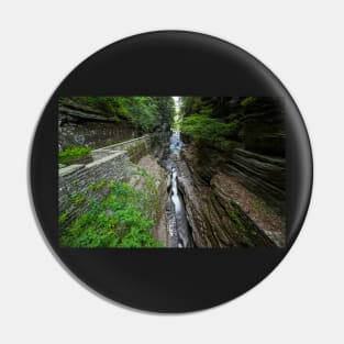 Ithaca NY Robert H. Treman State Park Canal Pin