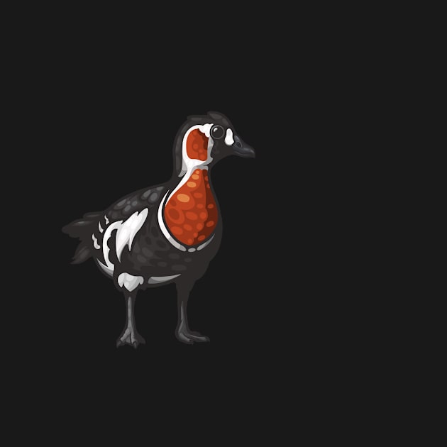 Red-Breasted Goose by Ginboy