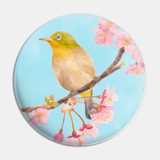 Cape White-eye with Sakura Pin