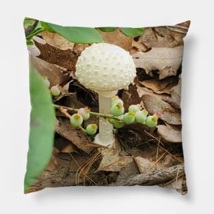 American Fly Agaric Pillow