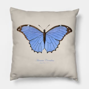 Butterfly - Menelaus Blue Morpho, Morpho Menelaus Coeruleus or Arcuatus Coeruleus Pillow