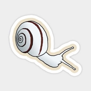 White Snail Magnet