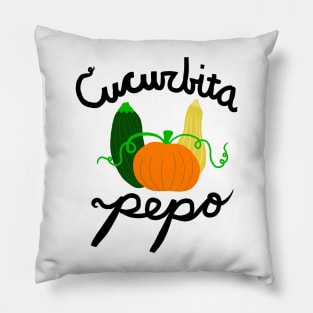 Cucurbita Pepo - Pumpkins, Zucchini, Squash Pillow