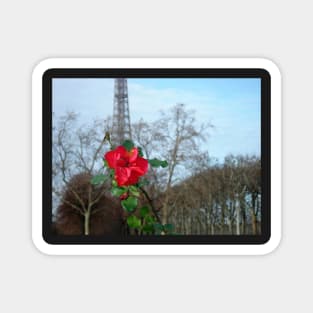 Paris Red Rose at the Eiffel Tower Magnet