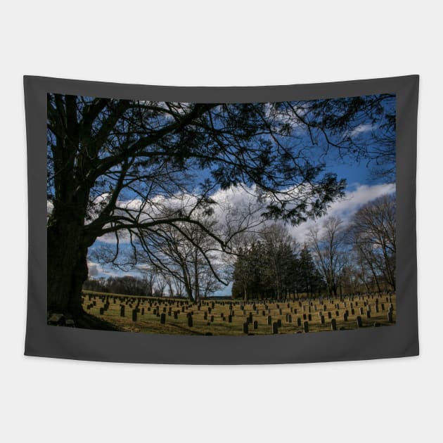 Connecticut Valley Hospital Cemetery Tapestry by Rob Johnson Photography