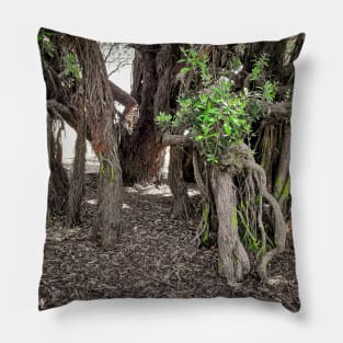 Spooky Old Trees. Pillow