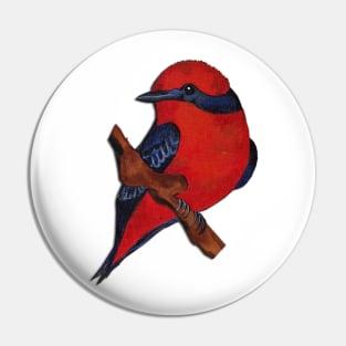 Vermilion Flycatcher cute bird Pin