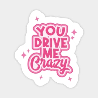 You Drive Me Crazy Typography Magnet