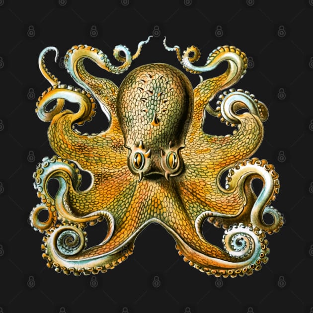 Octopus by HAMZAKANAAN41