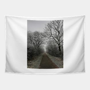 Frozen pathway in freezing fog Tapestry