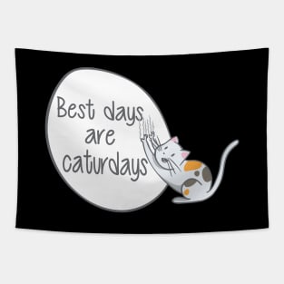 Cat - Best days are caturdays Tapestry