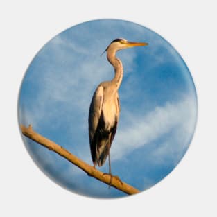 Grey heron Pin