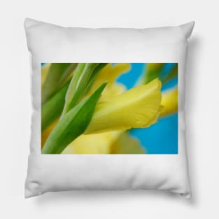 Gladiolus  'Jacksonville Gold' Pillow