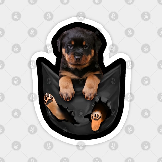 Rottweiler dog with love Magnet by designathome