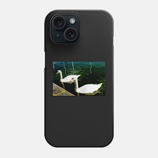 1050200 Pair of Swans Phone Case