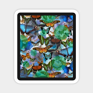 Bold in Butterflies Magnet