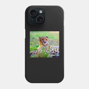 Cheetah looking Phone Case