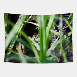 Frosch / Swiss Artwork Photography Tapestry