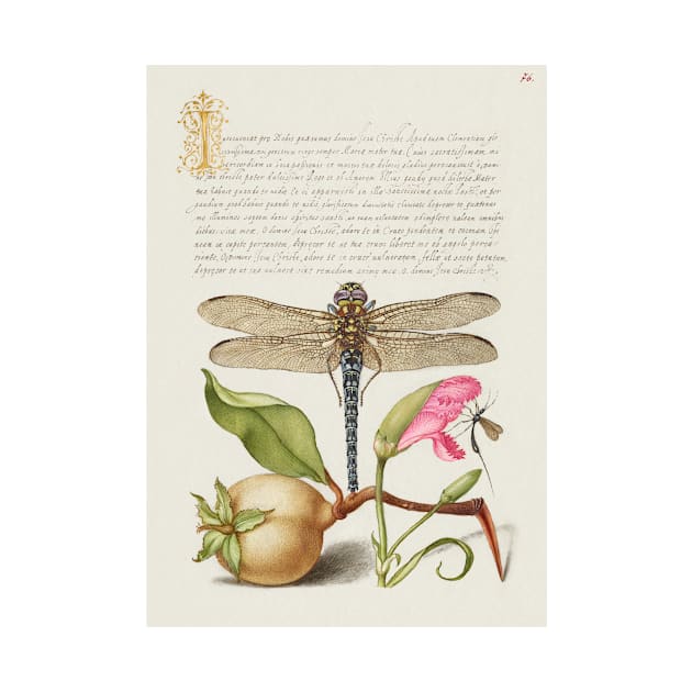 Antique 16th Century Calligraphy with Dragonfly and Flora by moonandcat