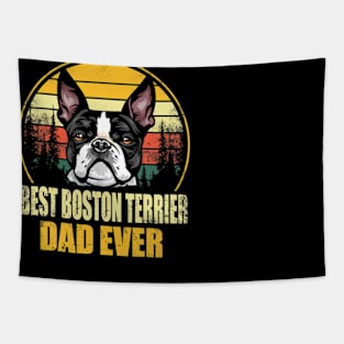 Best Chow Chow Dad Ever Retro Vintage Tapestry