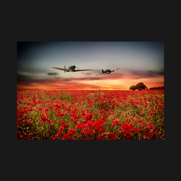 Battle of Britain Warriors by aviationart