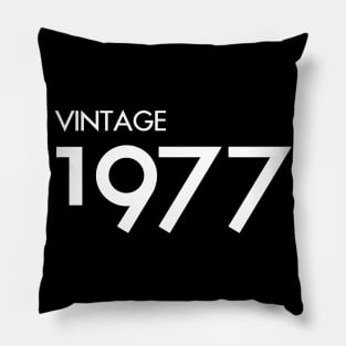 Vintage 1977 Gift 43rd Birthday Party Pillow