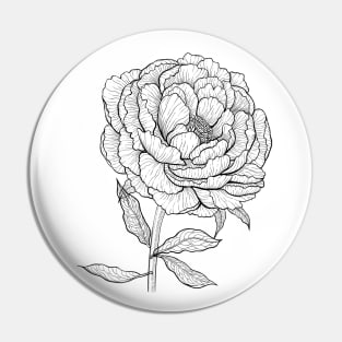 Peony drawing 3 Pin