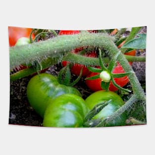 Tomato Branch, Tapestry