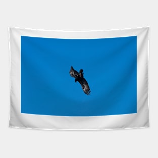 Wedge Tailed Eagle diving Tapestry