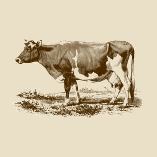 Jersey Cow Vintage Illustration T-Shirt