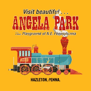 Distressed Angela Park, Hazleton, PA T-Shirt