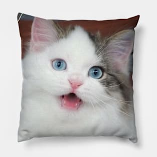 the blue eyes cats Pillow