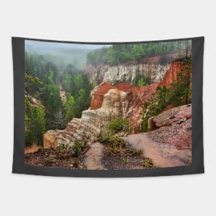 Providence Canyon Tapestry