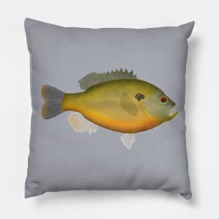 Redspotted Sunfish Pillow