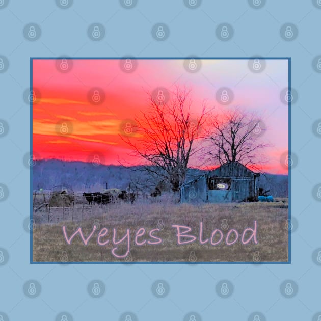 Weyes Blood by Noah Monroe