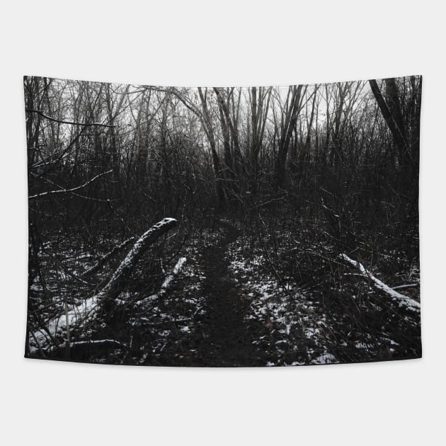 Lonely path Tapestry by human_antithesis