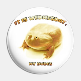 It is Wednesday my Dudes Pin