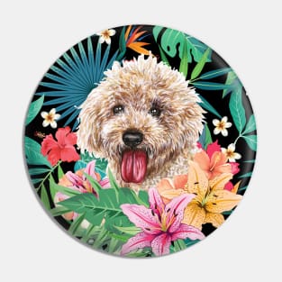 Tropical Apricot Toy Poodle Pin