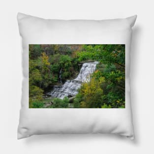 Autumn at Albion Falls Pillow