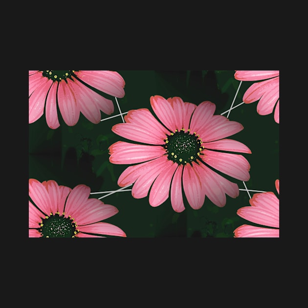 Gerbera, Pink And Black by AlexaZari