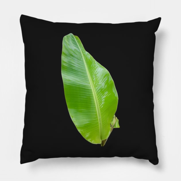 One green banana leaf cut out. Pillow by kall3bu