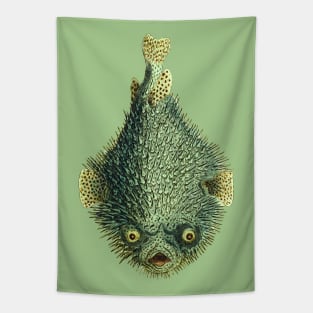 Spiky porcupinefish, green and mean looking with creepy yellow eyes. Tapestry