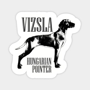 Vizsla  - Hungarian pointer Magnet