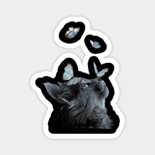 Cute Black Cat With Butterfly Cat adoption For Cat Lover Magnet