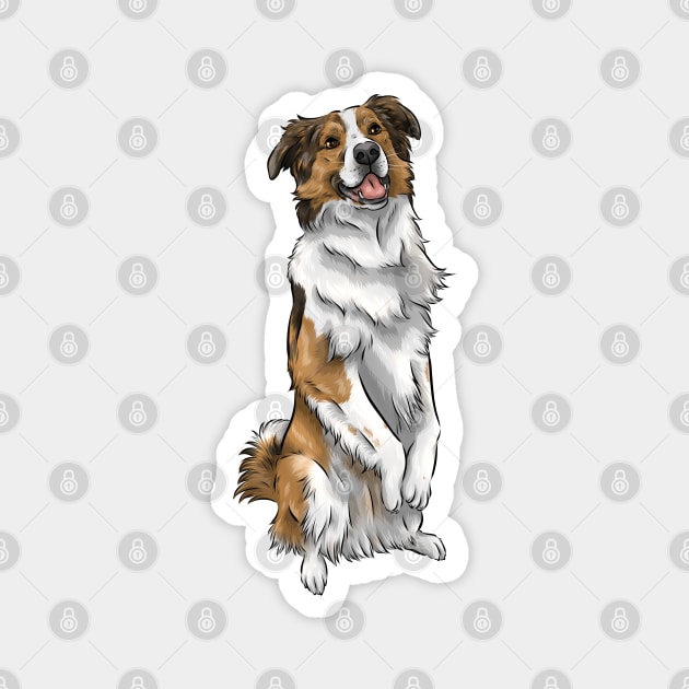 English Shepherd | Sable and White | Cute Dog Art Magnet by Shirin Illustration