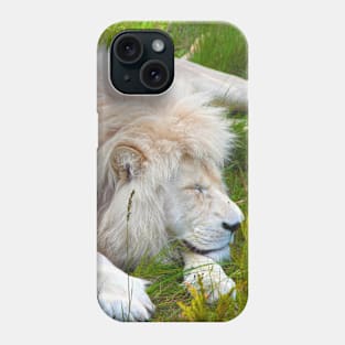 Slumbering Ivory King South African White Lion Phone Case