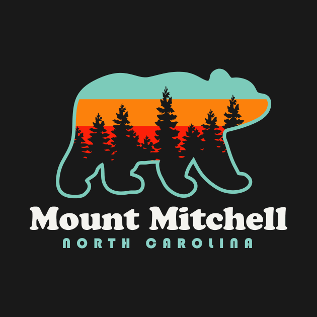 Mount Mitchell Hike North Carolina Black Mountain Range by PodDesignShop