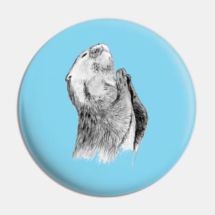 Otter Sketch Pin