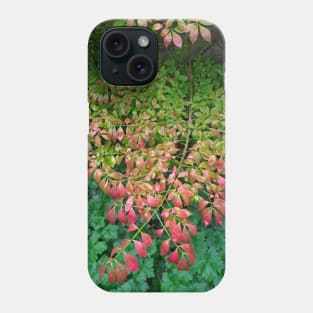 Green Spring Tree - red leaves Phone Case