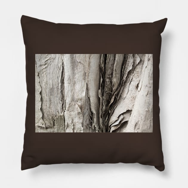 bark 3 Pillow by sma1050